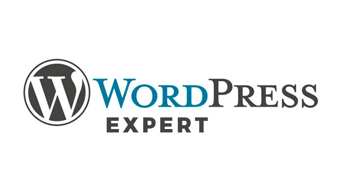 wordpress-expert-partner